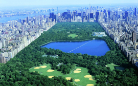 The Central Park Conservancy Institute for Urban Parks Announces the 2021 Partnerships Lab
