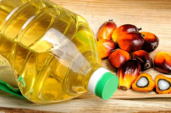 Marking significant progress, Cargill releases sustainable palm oil report