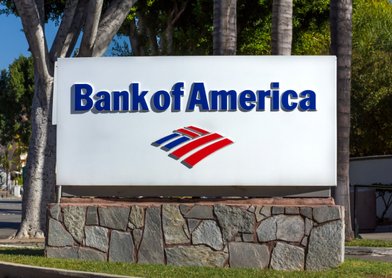 Bank of America Introduces Framework to Support Future ESG-Themed Issuances