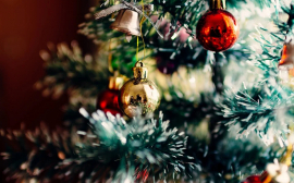 Christmas Tree Sales Skyrocket in NY