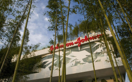 Johnson & Johnson has published report and annual forecast